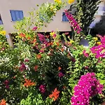 103 Regina Gardens Paphos