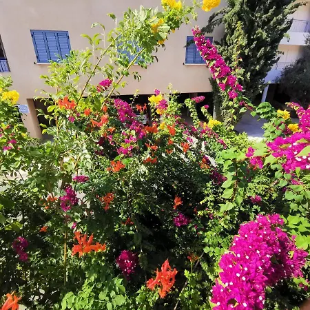 103 Regina Gardens Paphos